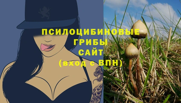 марки nbome Алзамай