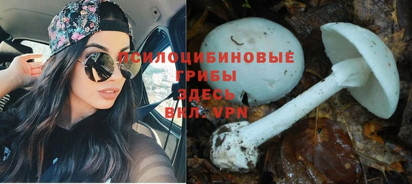 гидропоника Алексин