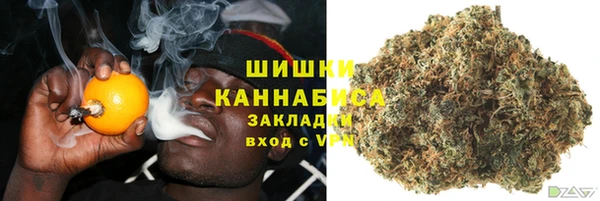 метадон Гусев