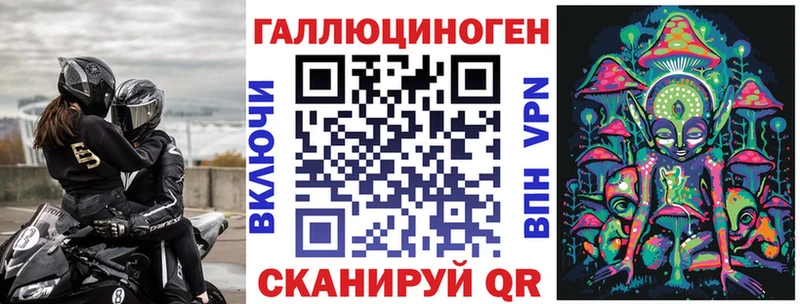 где купить   Томмот  Галлюциногенные грибы мицелий 